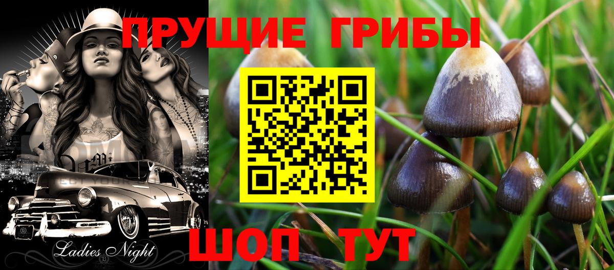 где купить   Псилоцибиновые грибы MAGIC MUSHROOMS  Вход с VPN  Саратов 